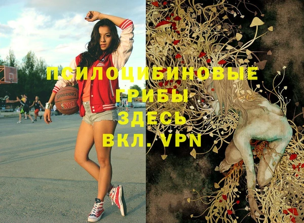 первитин Киренск