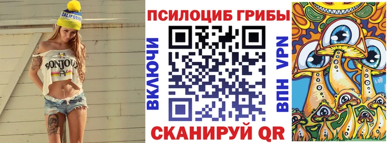 Псилоцибиновые грибы MAGIC MUSHROOMS  Купить  Всеволожск 
