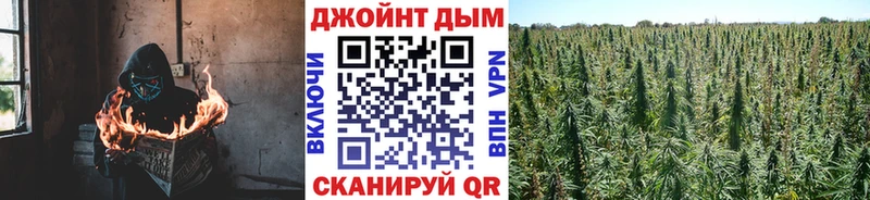 Купить Всеволожск Бошки Шишки White Widow